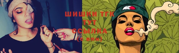 дмт Абаза