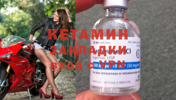 индика Алексин