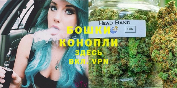 дмт Абаза