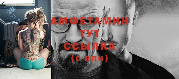 сатива Алзамай