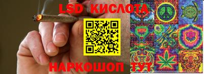 крисы Краснознаменск