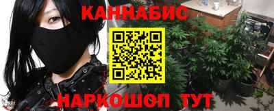 крисы Краснознаменск